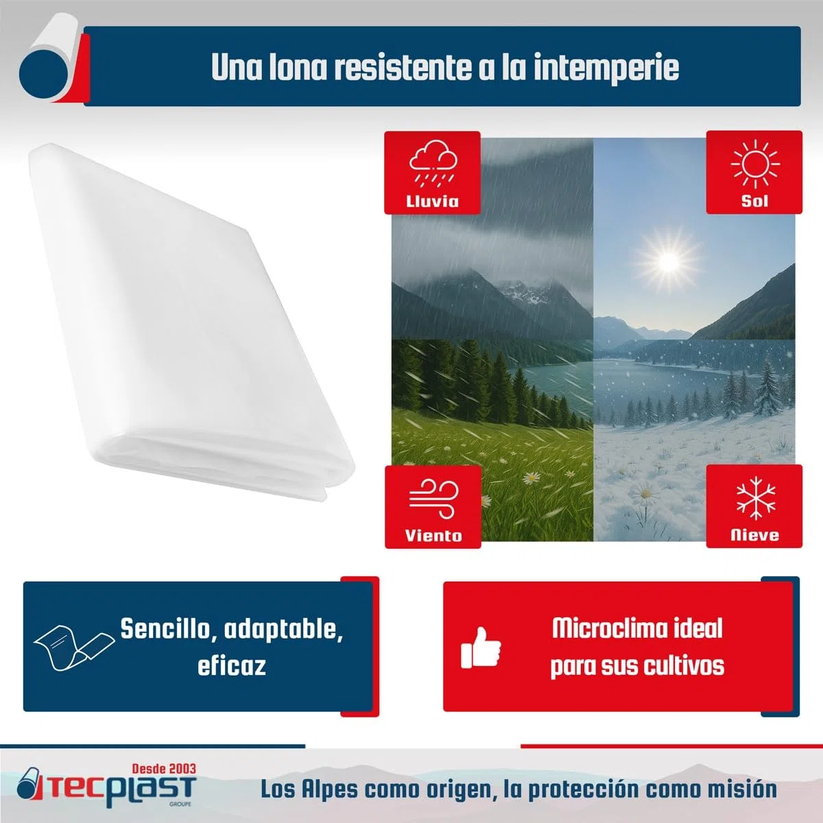 Tecplast Lona Invernadero 6x8 m 200SE - Lona Transparente Impermeable para Jardín - Máximo Rendimiento