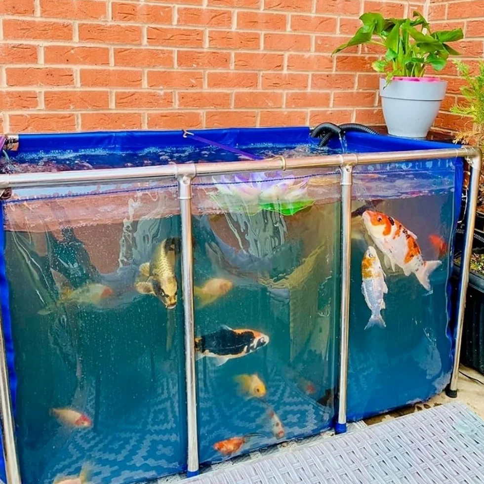 Estanques elevados para acuarios con Ventana Transparente, Revestimiento de Lona de PVC con Estructura de Acero, Tanque de retención para cría de Tortugas koi, Azul, 100 x 60 x 35 cm