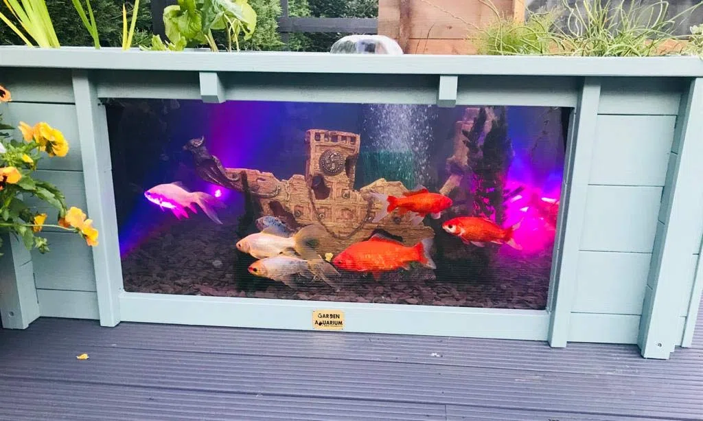 Lotus Clear View Garden Aquarium - Estanque de jardín cuadrado elevado con ventanas (verde hierba marina)