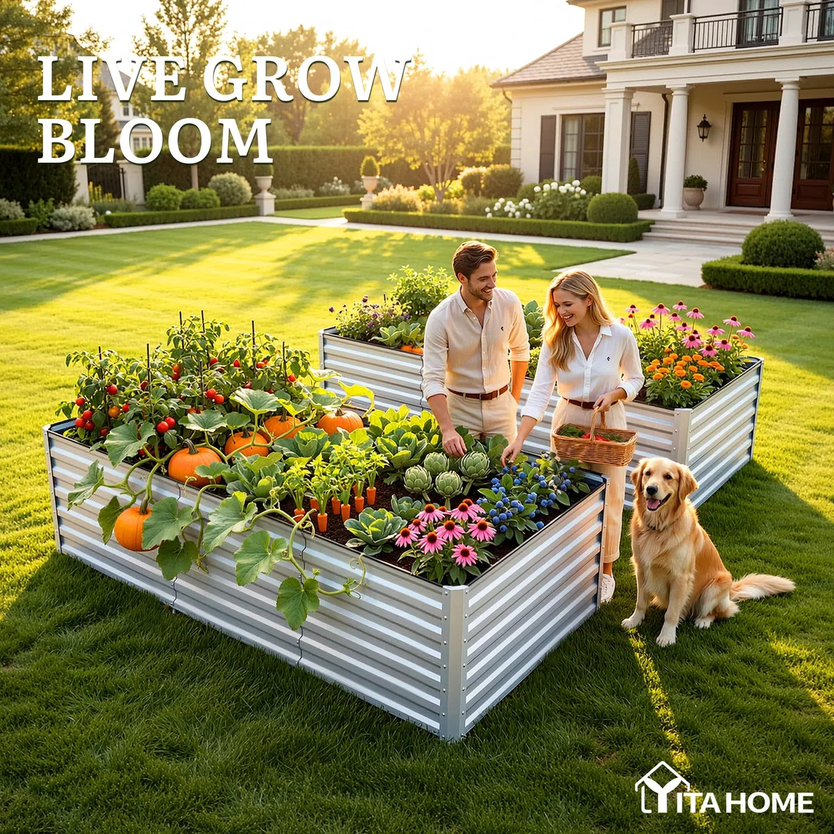YITAHOME Juego de 1 Camas elevadas para jardín al Aire Libre de 240 x 120 x 58 cm, Camas elevadas de Metal de Zinc, Aluminio y magnesio, Camas elevadas para jardín con Barra de Apoyo y Guantes