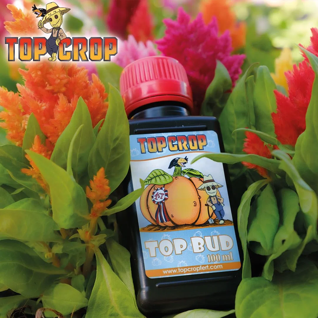 Top Crop - Top Bud 5L