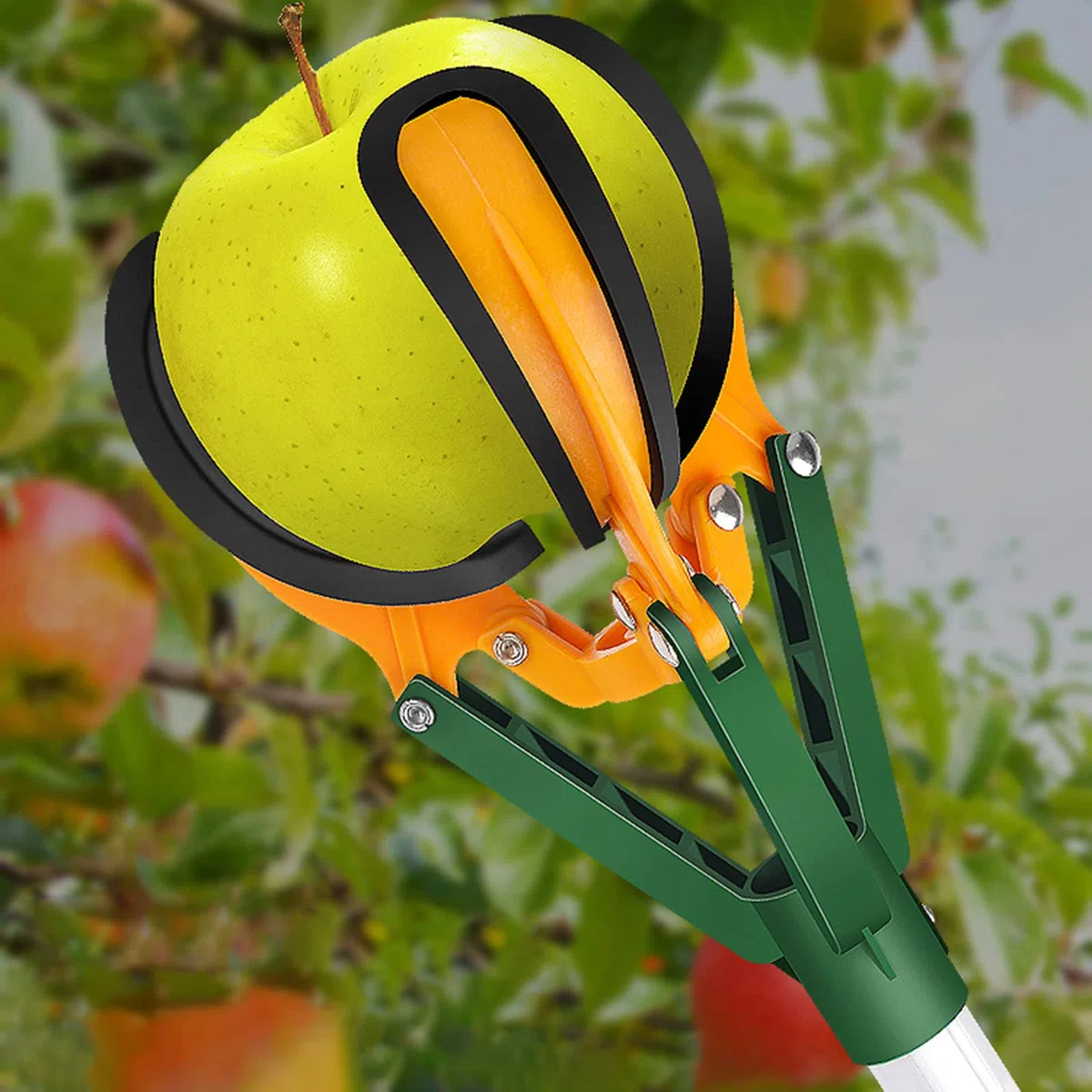 Recoge Frutas Telescopico, Poste para Recoger Frutas, Recogedor de Árboles Frutales, Extensión de 4, 9 Pies