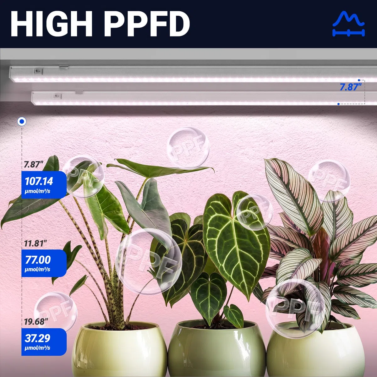 Barrina Grow Lights