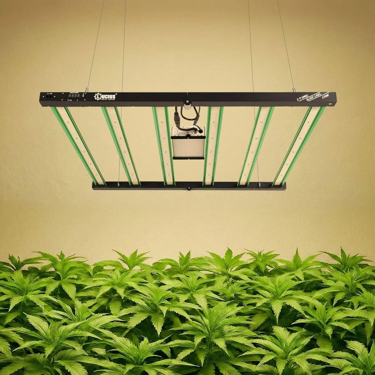 LUCIUS - Lámpara LED de 630W 2.9 Master Control - Cultivo espectro completo Crecimiento/Floración, UV IR, Función Anochecer/Amanecer, Regulable, Invernaderos y plantas interior, hortalizas y flores