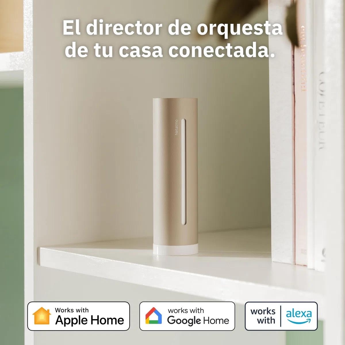 Netatmo Estación Meteorológica ORIGINAL 2ª gen | Interior y Exterior | Temperatura, Humedad, Calidad aire, UV, Pólenes, Previsiones | Compatible Apple, Alexa, Google - Arena - NWS-S-EC