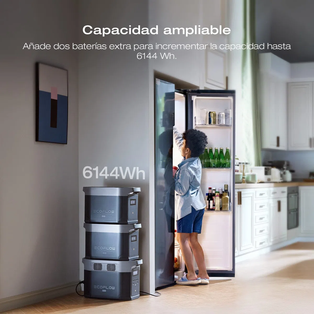EcoFlow Estación de energía portátil DELTA 2 Max, 2048Wh, Batería LFP, CA 80% de carga en 53mins,sólo pequeños defectos en el embalaje, el producto está completamente sin usar (Reacondicionado)