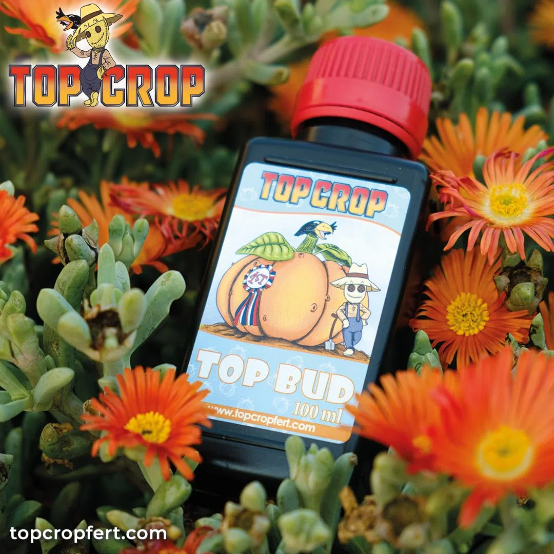 Top Crop - Top Bud 5L