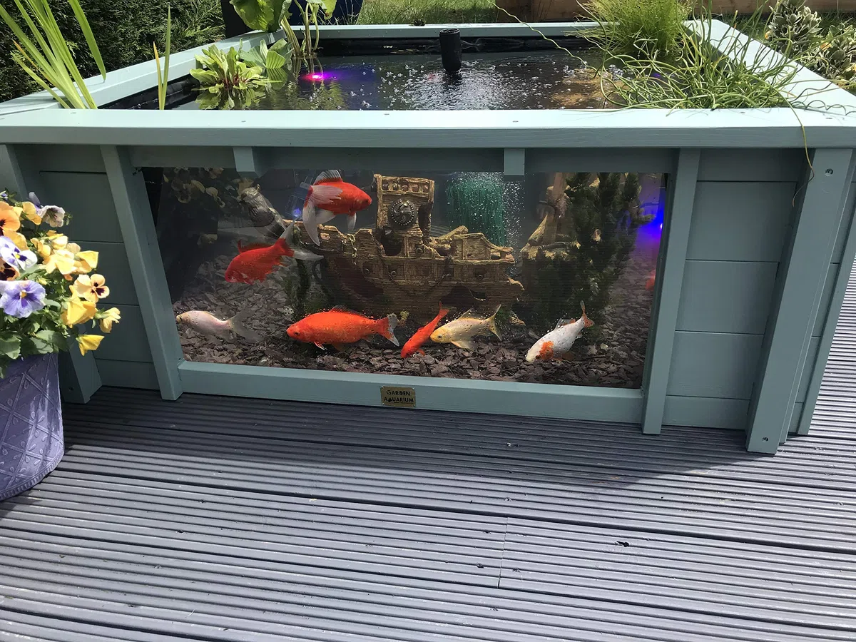 Lotus Clear View Garden Aquarium - Estanque de jardín cuadrado elevado con ventanas (verde hierba marina)