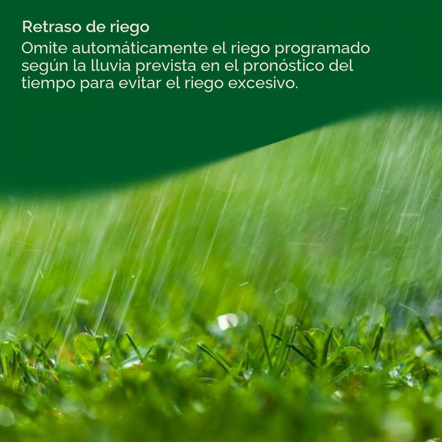 Rain-Bird LNK2WIFI - Módulo WiFi LNK de 2ª generación - Compatible con Todos los Controladores WiFi, Incluyendo ESP-ME3, ESP-TM2, ESP-Me WiFi - Rainbird
