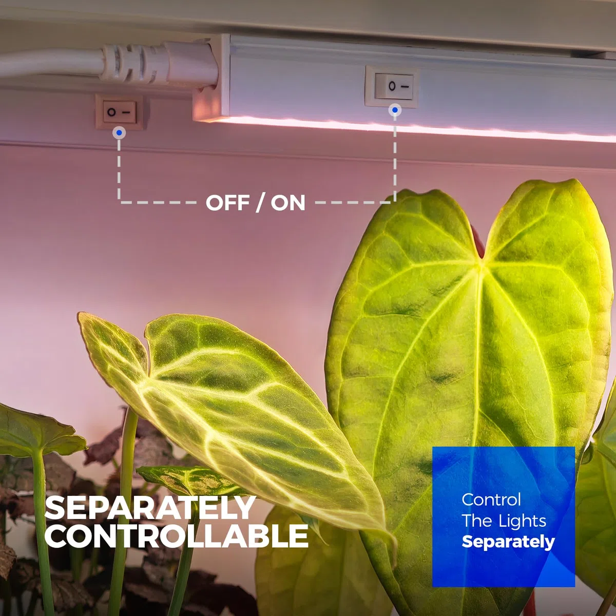 Barrina Grow Lights
