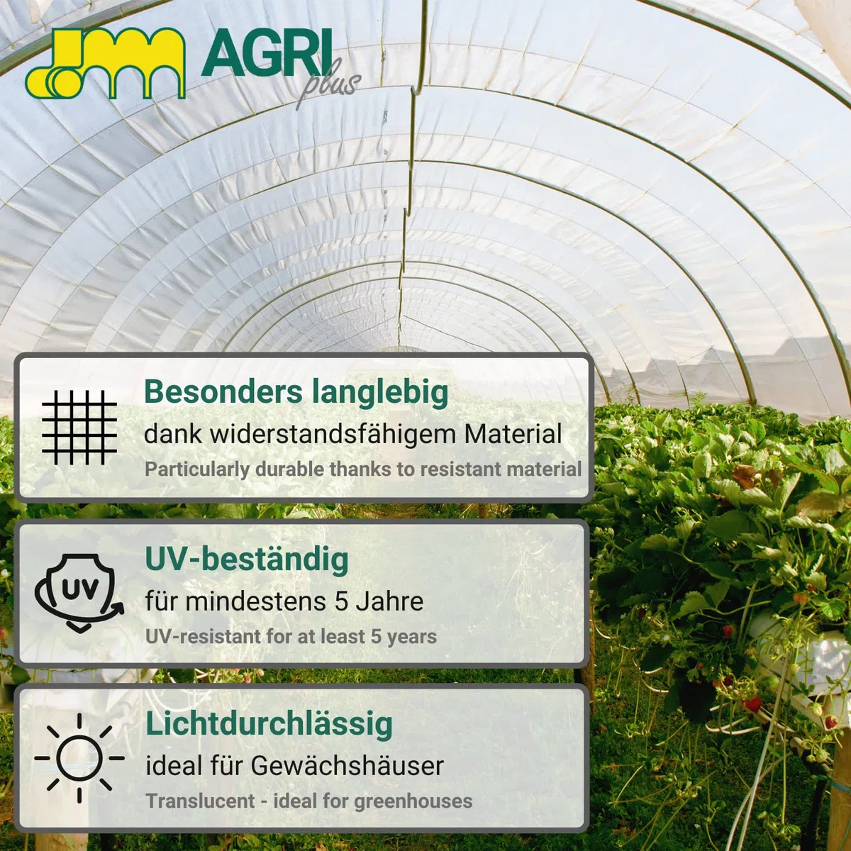 AGRI plus Lámina de invernadero con cinta de reparación, 8 x 5 m, diferentes tamaños, grosor de 0,200 mm, resistente a la rotura y a los rayos UV durante 5 años.