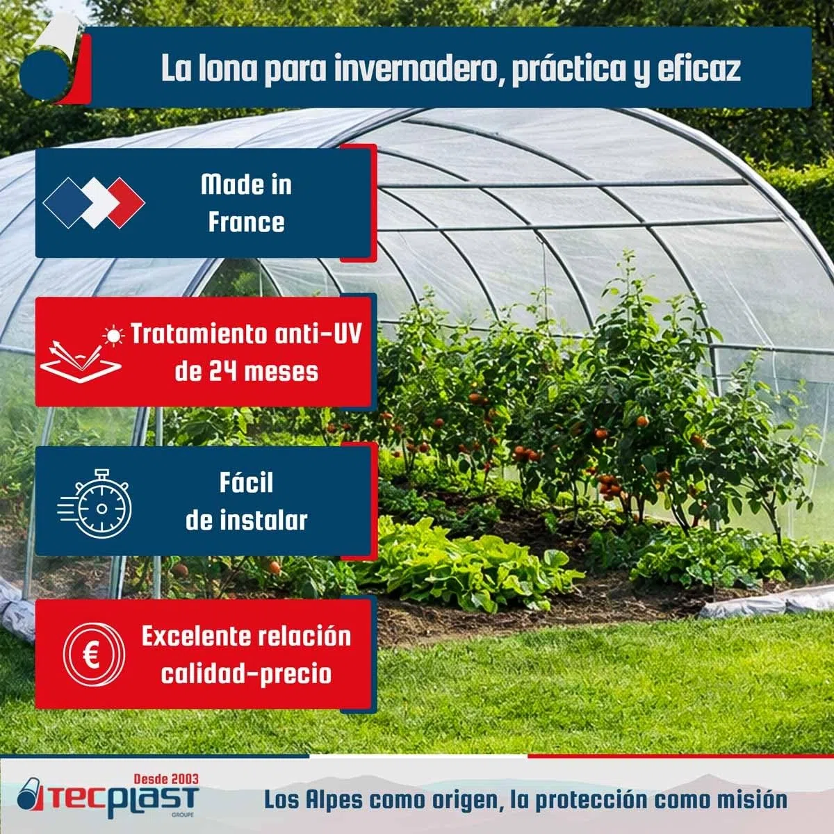 Tecplast Lona Invernadero 6x8 m 200SE - Lona Transparente Impermeable para Jardín - Máximo Rendimiento